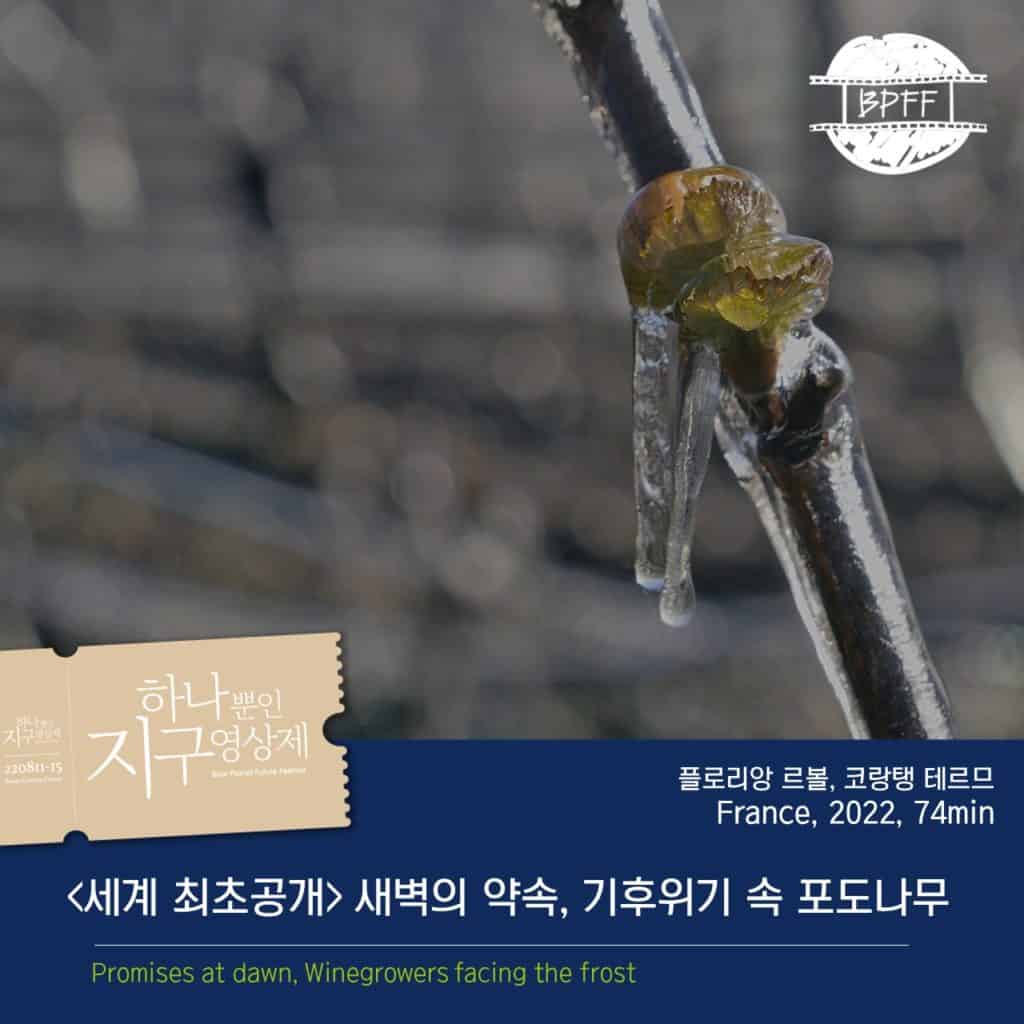 vignette du film les promesses de l'Aube en Coréen